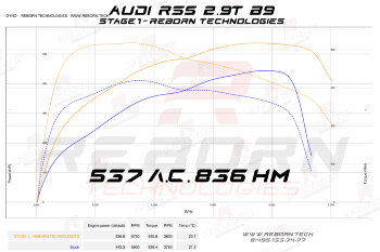 Audi RS5 (F5 Mk2) 2.9 BiTurbo 450 л.с 600 Нм
